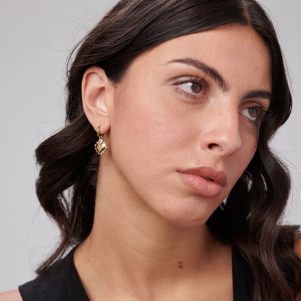 Náušnice Brosway Chakra BHKE197