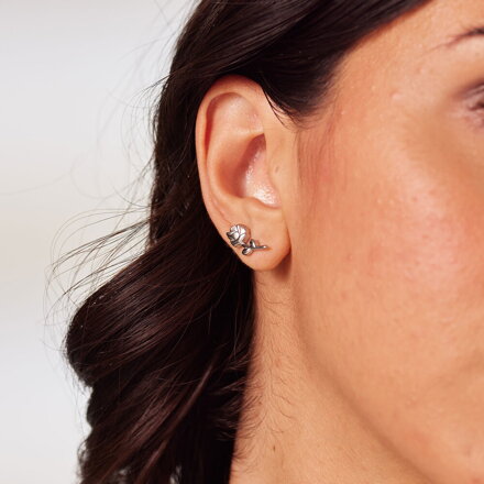 Náušnice Brosway Chakra BHKE198